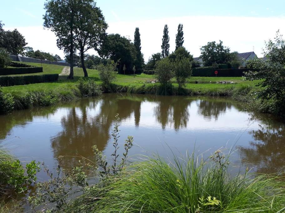 Le Gite De La Menuiserie Maisoncelles-la-Jourdan Eksteriør bilde